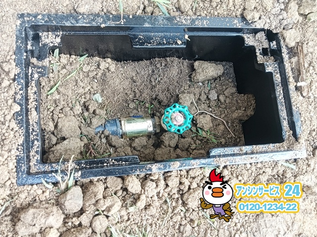 ウオーターデザインUFB DUAL