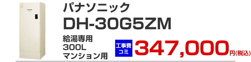 �p�i�\�j�b�N �d�C������ 300 dh-30g5zm ������p �H�����